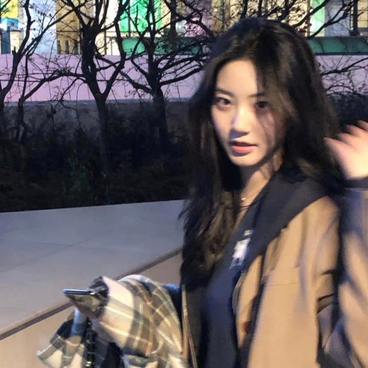 最后的贵族
